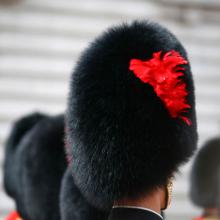 Detail of the hat