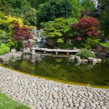 Kyoto Garden