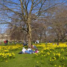 Spring in the sun